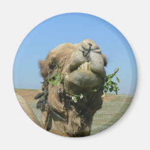 Kamelkauwbloemen Magneet