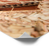 Kamelmandje uit Sultanaat Oman Poster (Hoek)