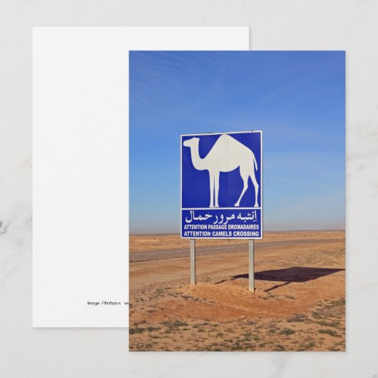 Kamelteken, Tunesië, kaart (Voorkant / Achterkant)