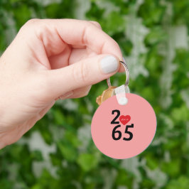 Kamer Nummer 256 in Sleutelhanger