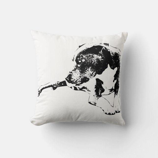 Kamer van Stilte Kussen (Voorkant)