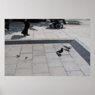 Kamer voor iedereen! poster