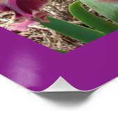 Kameroen Bloemen Bloemen Iris Irises Moederdag Kaa Perfect Poster (Hoek)