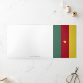 Kameroense vlag drieluik kaart