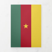 Kameroense vlag drieluik kaart (Cover)