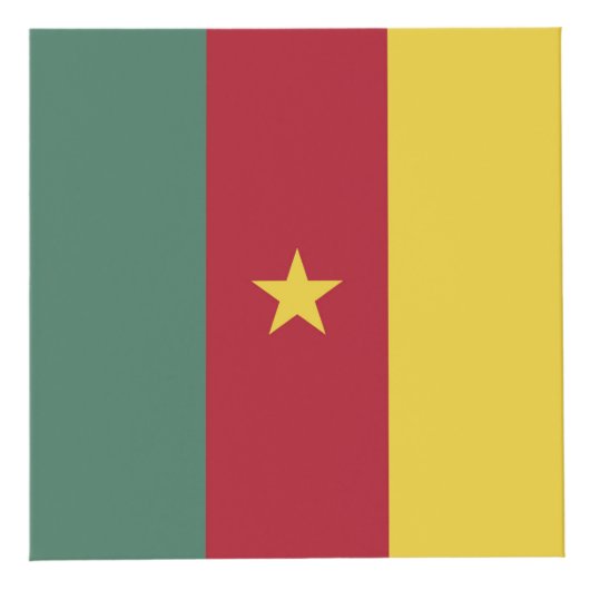 Kameroense vlag kubus (Rechts)