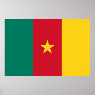 Kameroense vlag poster