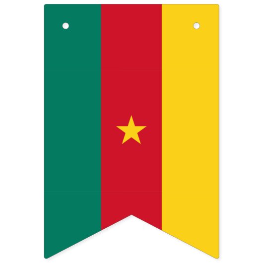 Kameroense vlag vlaggetjes (Eerste vlag)