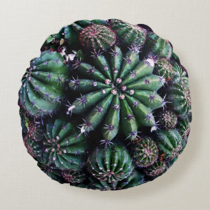 Kamerplant Cactus: Kwekerij Mooie Ontwerp Rond Kussen