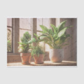 kamerplanten door een raam decoupage tissuepapier (Voorkant)