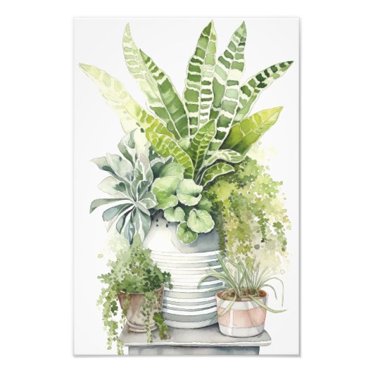 Kamerplanten Foto Afdruk (Voorkant)