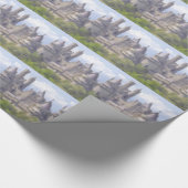 Kamerverpakkingspapier Cadeaupapier (Hoek)