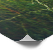 Kamille bloemen op de groene zomerweide poster (Hoek)