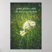 Kamille bloemen op de groene zomerweide poster (Voorkant)