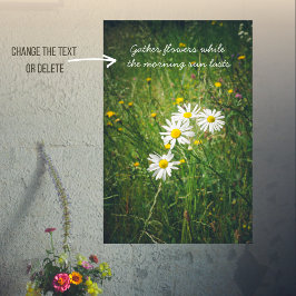 Kamille bloemen op de groene zomerweide poster