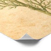 Kamille botanische print (Hoek)