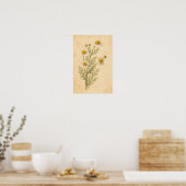 Kamille botanische print (Keuken)