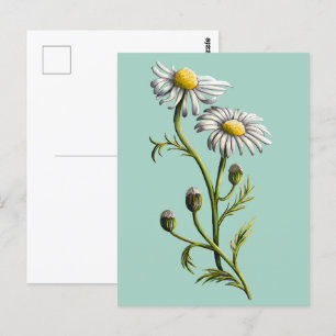 Kamille Briefkaart