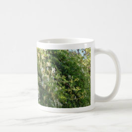 Kamille op een muur koffiemok
