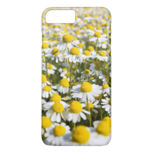 Kamillebloem close-up, Hongarije Case-Mate iPhone Case