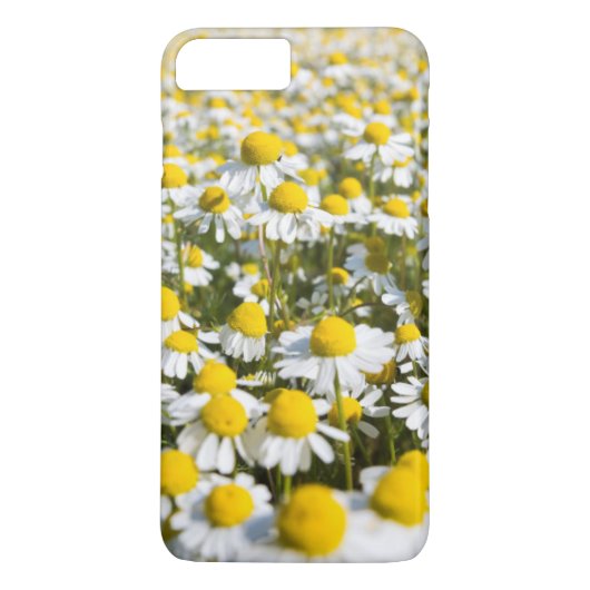 Kamillebloem close-up, Hongarije Case-Mate iPhone Case (Achterkant)