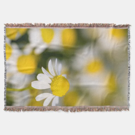 Kamillebloem close-up, Hongarije Deken (Voorkant)