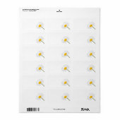 Kamillebloem geïsoleerd op een witte achtergrond etiket (Full Sheet)