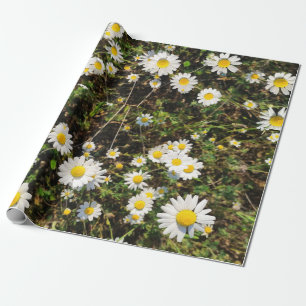 Kamillebloemen Cadeaupapier