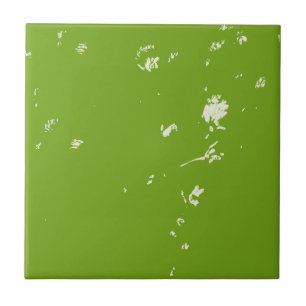 kamillebloemen op groen tegeltje