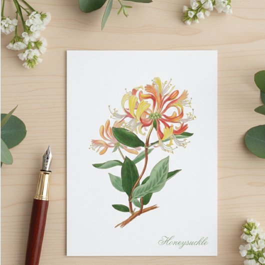 Kamilleklimop Oude Botanische Ansichtkaart Briefkaart