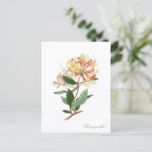 Kamilleklimop Oude Botanische Ansichtkaart Briefkaart (Staand voorkant)