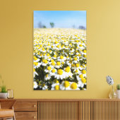 Kamilleveld, Hongarije Canvas Afdruk (Insitu (Woonkamer))