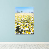 Kamilleveld, Hongarije Canvas Afdruk (Insitu (Houten vloer))