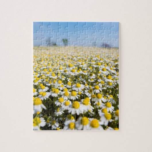 Kamilleveld, Hongarije Legpuzzel (Verticaal)