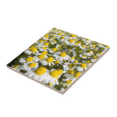Kamilleveld, Hongarije Tegeltje (Zijkant)