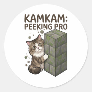 KAMKAM Piepende Pro Grappige Pixel Blok Kat Kunst Ronde Sticker