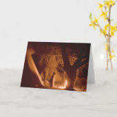 Kamp Vuur nr. 2 Kaart (Gele Bloem)