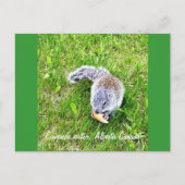 kampbezoeker briefkaart (Voorkant)