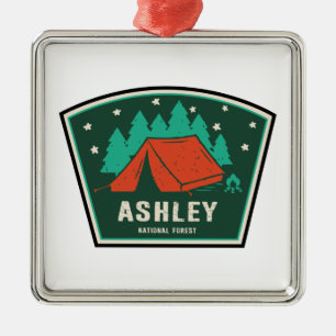 Kamperen in Ashley National Forest Metalen Ornament