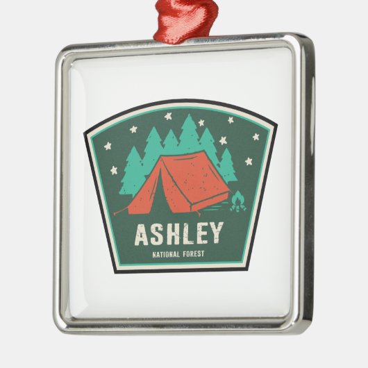 Kamperen in Ashley National Forest Metalen Ornament (Links)