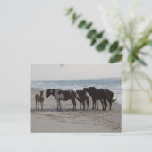 Kamperen op Assateague Island Briefkaart (Staand voorkant)
