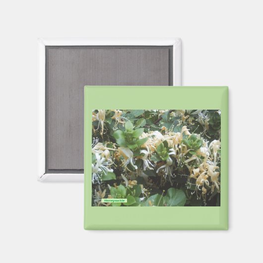 Kamperfoelie Bloeit Magneet (Voorkant / Achterkant)