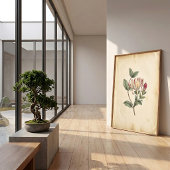 Kamperfoelie Botanische Studie Kunstprint Poster