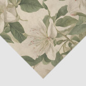  kamperfoelie Decoupage Tissuepapier (Detail)