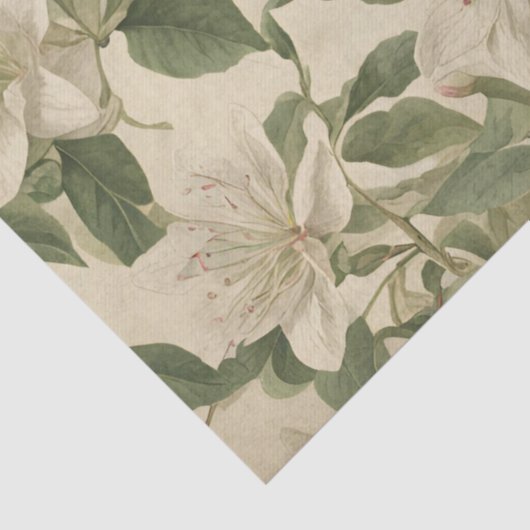 kamperfoelie Decoupage Tissuepapier (Detail)