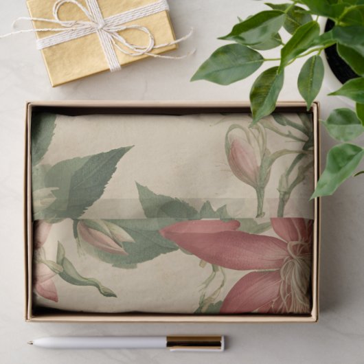  kamperfoelie Decoupage Tissuepapier (Geschenk)