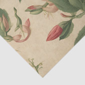  kamperfoelie Decoupage Tissuepapier (Detail)