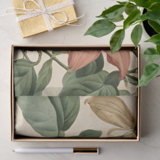  kamperfoelie en kolibrie Decoupage Tissuepapier (Geschenk)