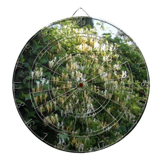 Kamperfoelie Tegen Een Muur Dartbord (Voorkant)