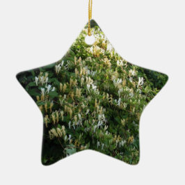 Kamperfoelie tegen een muur keramisch ornament